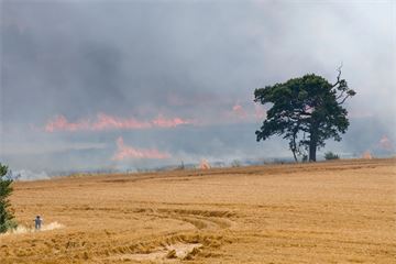 Last chance to change: What more must the government do to build climate resilience?