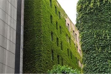 Transforming our urban spaces through design