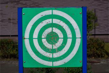 Greening the way: CSW explores government progress on sustainability targets