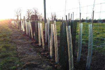 Embedding social value into procurement: National Highways’ social enterprise dynamic purchasing system