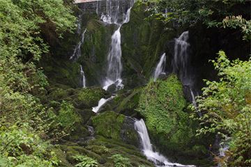 NI agriculture department pays out £50k in discrimination case