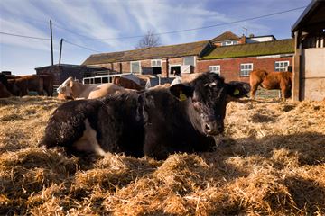 Defra’s experience shows the problems in making Brexit work