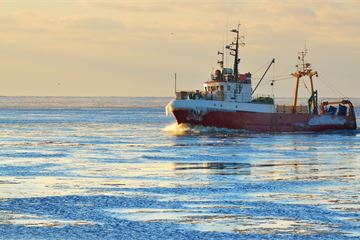 Defra seeks chief exec for Marine Management Organisation