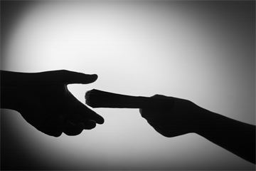 UK ‘needs independent commission against corruption’