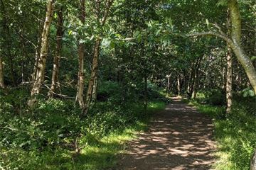 Defra launches rapid review of Environmental Improvement Plan