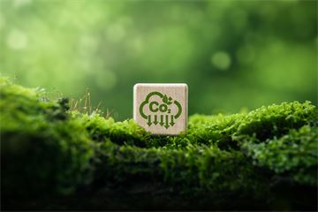 ‘Minimise environmental impact’: Guidance for government digital services updated