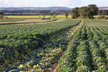 'I’ve been struck by the warmth of the welcome' – New Defra perm sec Paul Kissack reflects on his return to the department