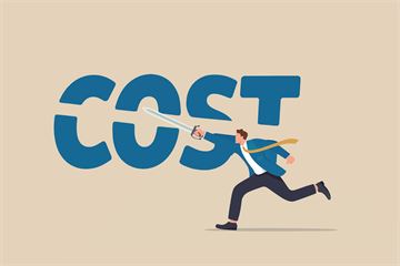 Lost in the frenzy to slash costs – government needs a genuinely strategic approach to ALBs