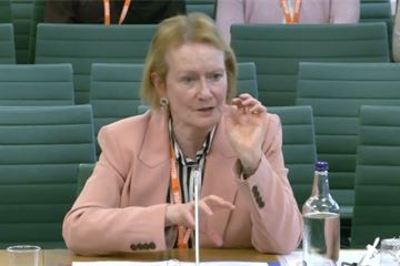 MPs back ex-perm sec Helen Ghosh as environment watchdog chair