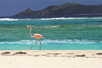 Island life: Insights from the governor of the BVI