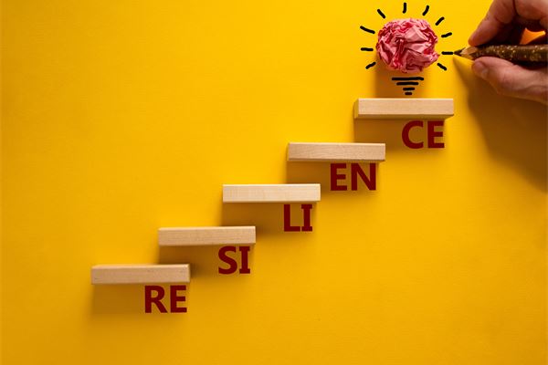 Senior officials asked to upskill on resilience competencies
