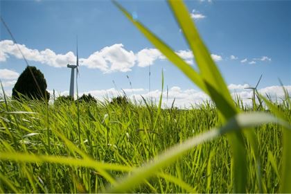 The growth imperative: The UK's carbon plan as an economic blueprint for global leadership