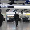 Home Office advisers call for rethink of plans to overhaul immigration system