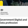 'Government Digital and Data' brand launched, alongside 'clearer path' to specialist roles