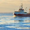 Defra seeks chief exec for Marine Management Organisation