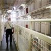 Eight in 10 prison and probation staff unhappy with early release schemes