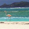 Pruce in Paradise: Insights from the governor of the British Virgin Islands