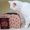 From blonde highlights to duck pâté – what are the strangest requests to the FCDO from Brits abroad?