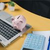 Pension crisis: Delayed retirement modeller gets new launch date