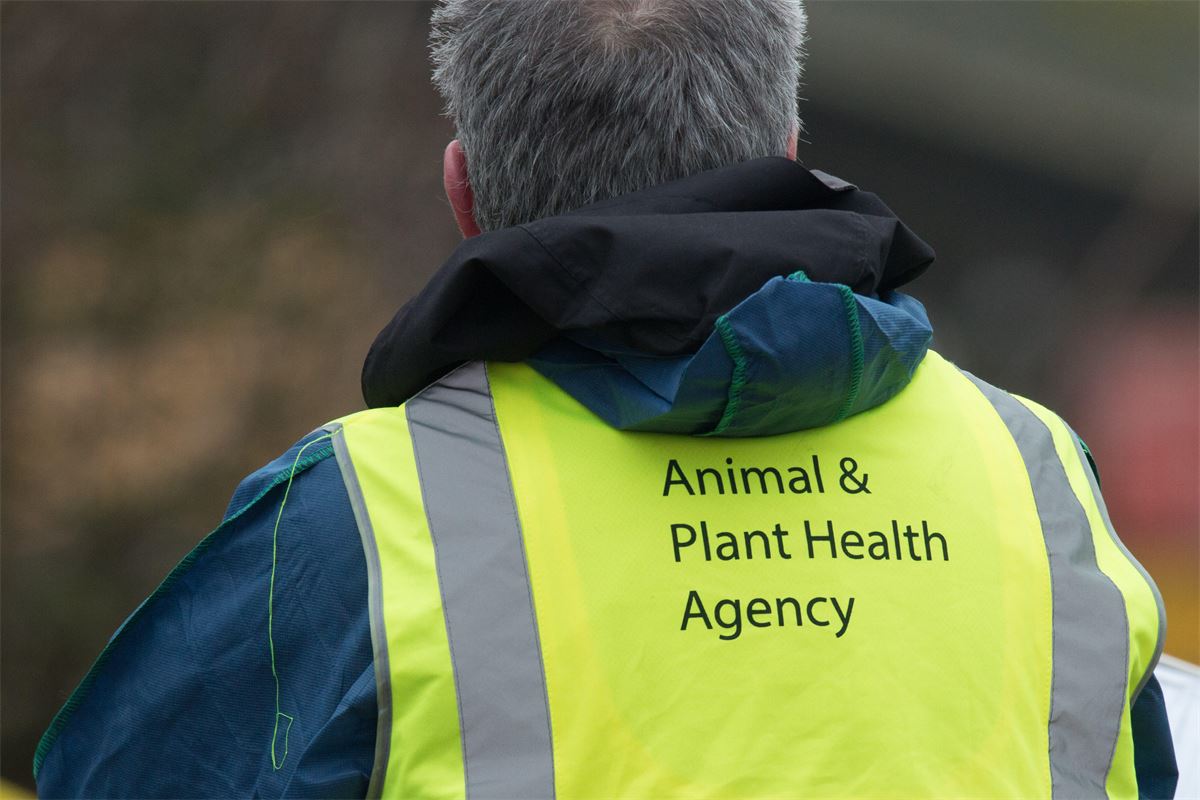 Defra 'working up business case' for APHA cash boost