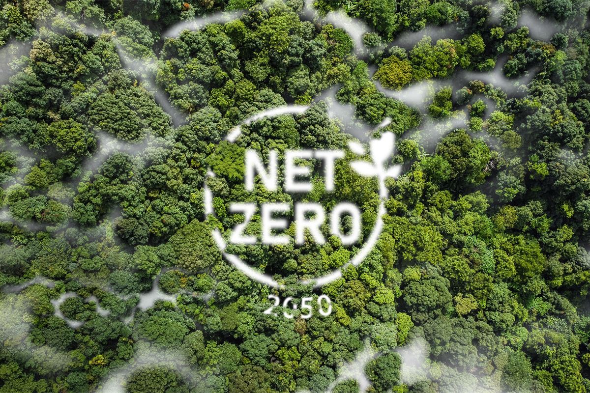 Government's ‘top downapproach’ to net zero 'holding back progress'