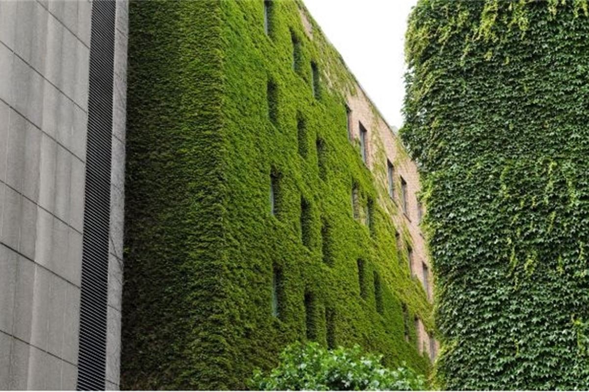 Picture of Transforming our urban spaces through design