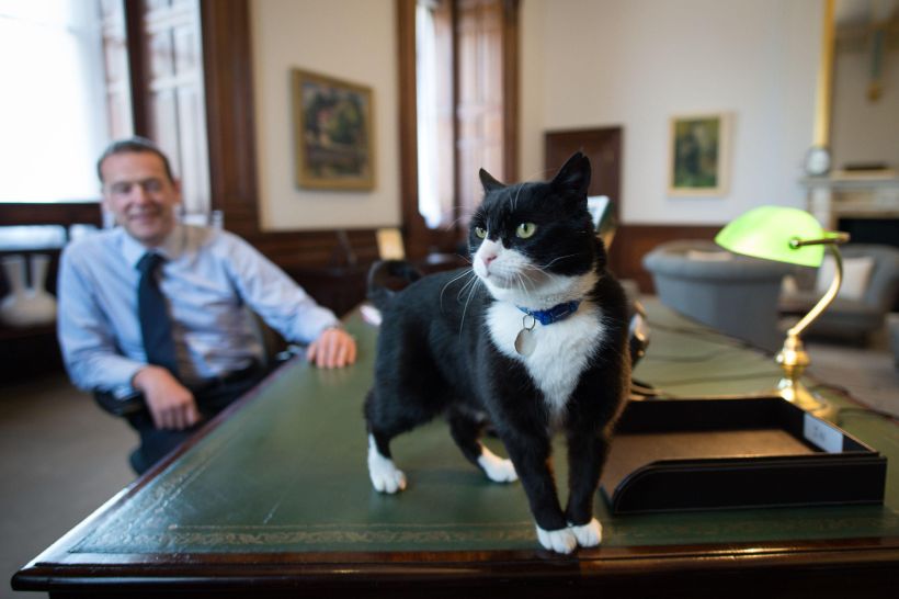 Palmerston with Simon McDonald